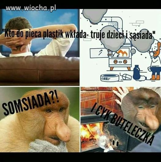 Somsiad złodzij passata kupjoł