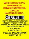 Kłamczuch gubi się w swoich kłamstwach...