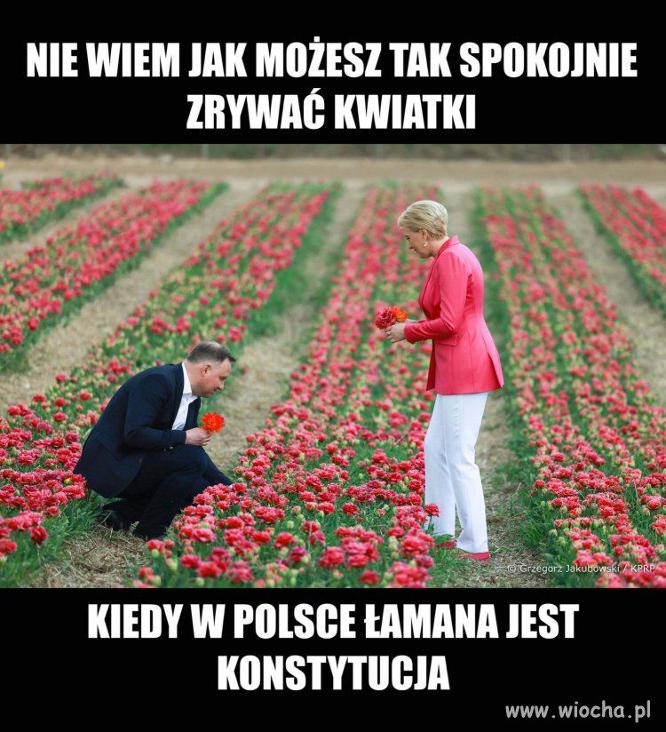 Jutro 3 maja
