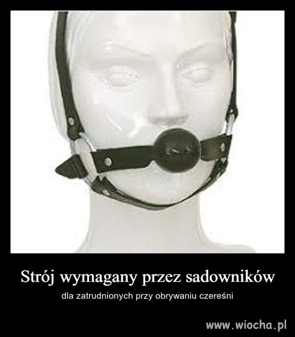 Zjesz dwie i dniówka przepadła 