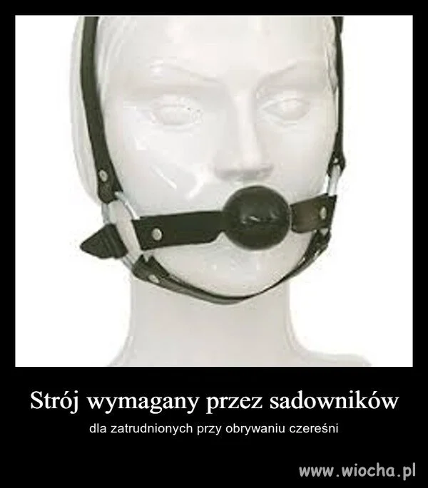 Zjesz dwie i dniówka przepadła 