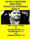 Złodziejskie Eldorado PiSu już się kończy...