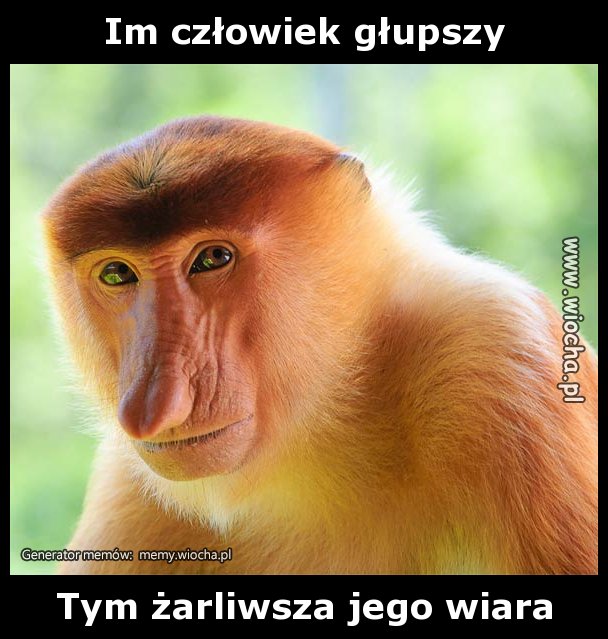 Im człowiek głupszy