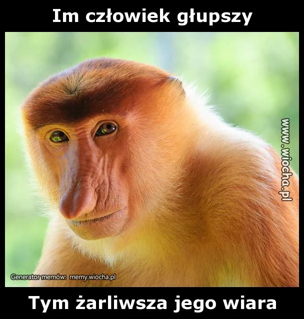 Im człowiek głupszy