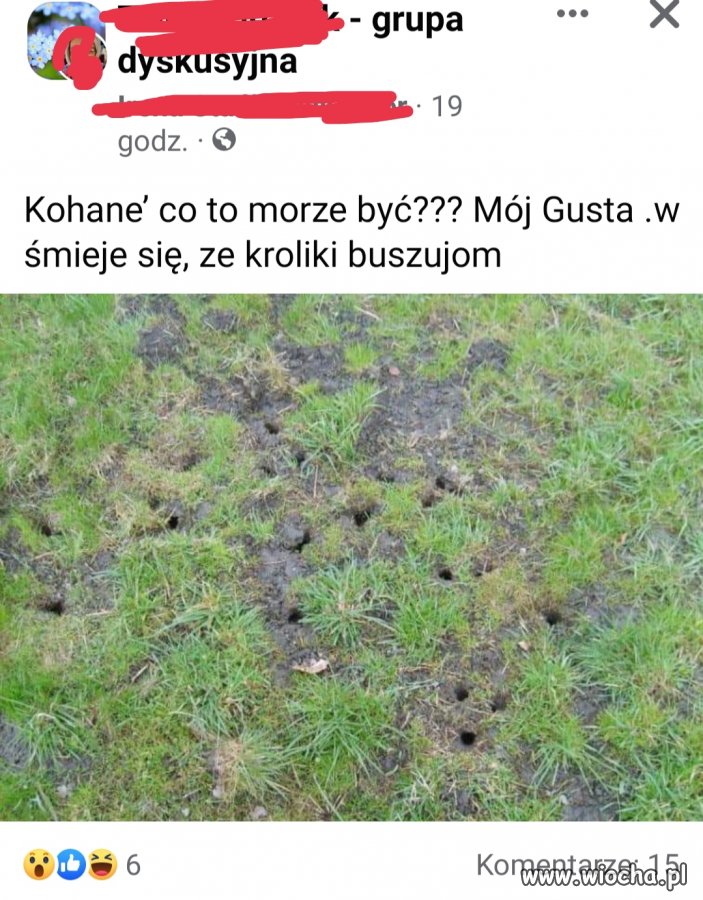 Aż mnie oczy bolą 