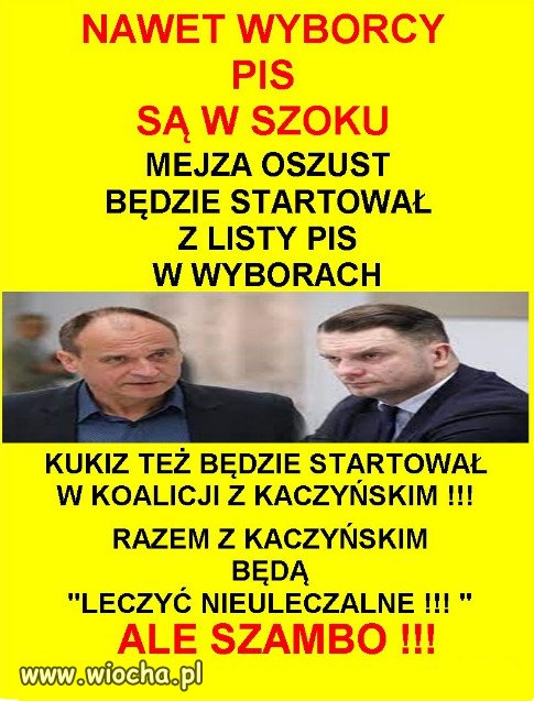 Towarzystwo wzajemnej adoracji do żłobu...