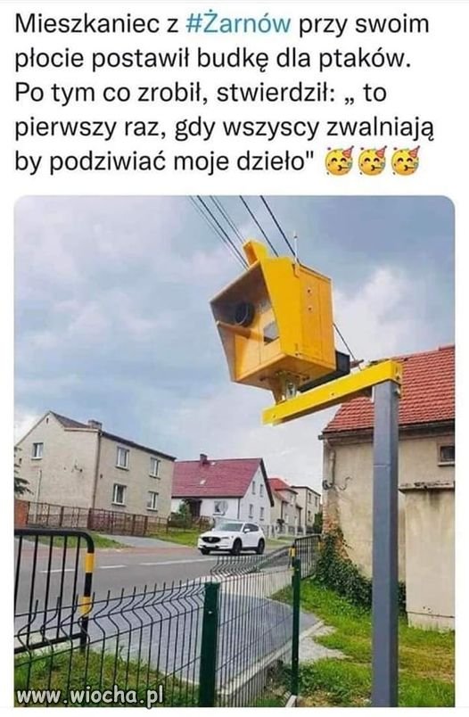 Taki psikus
