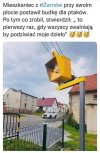 Taki psikus