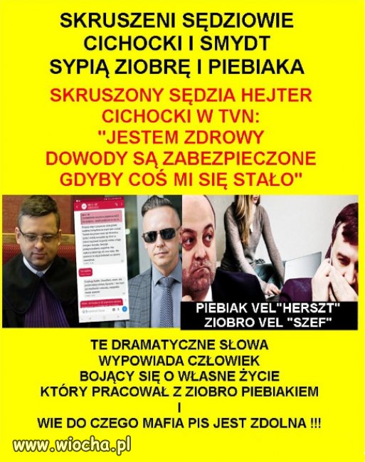 Tak wygląda mafijne "prawo i sprawiedliwość"