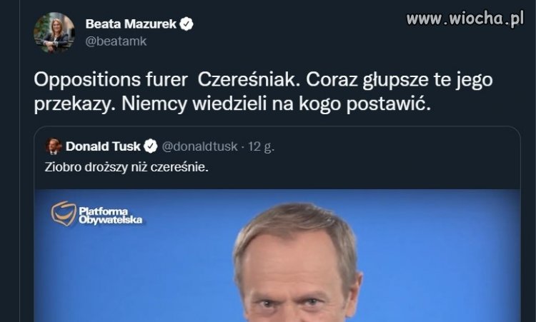 Beci słoma z gumowców wystaje