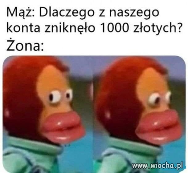 Nie wiem