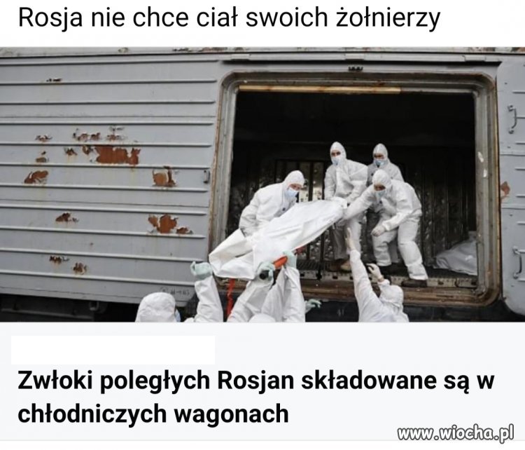 Martwi nie są im potrzebni