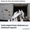 Martwi nie są im potrzebni
