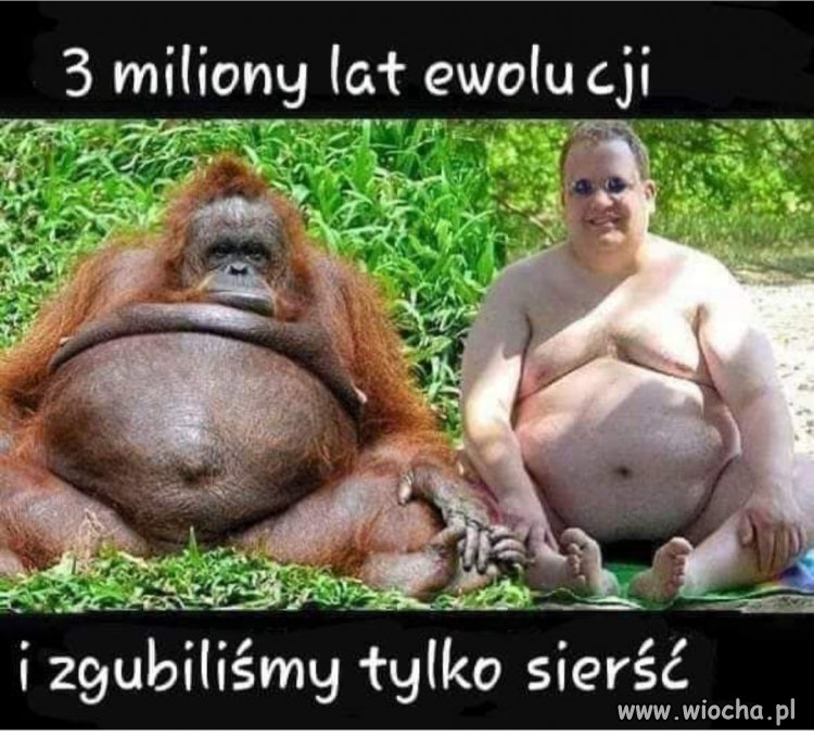 Heheszki 