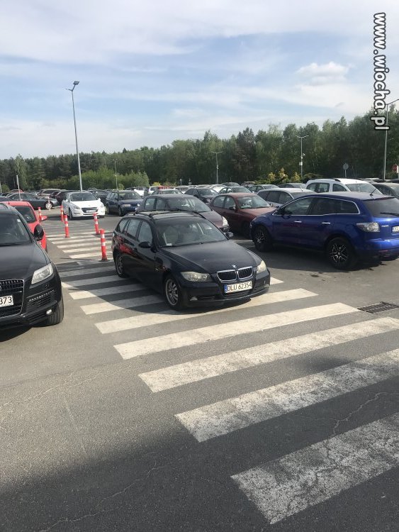 Typwy Sebix z BeEmKi