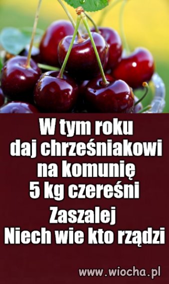 Porady ciotki Włady