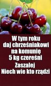 Porady ciotki Włady