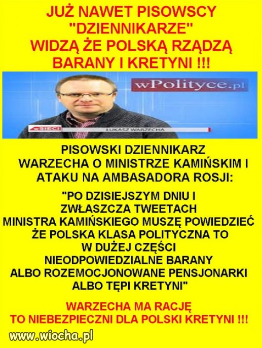 Potrzeba było lat, żeby to zauważyli...