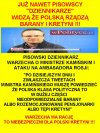 Potrzeba było lat, żeby to zauważyli...