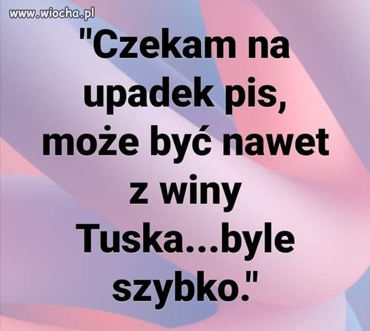 Potwierdzam 
