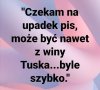 Potwierdzam 