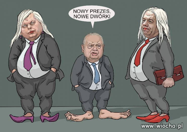 Nowe tygryski prezesa Glapy