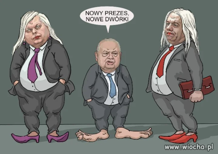 Nowe tygryski prezesa Glapy
