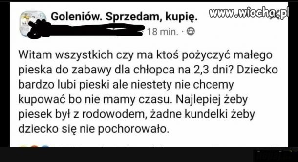 Żenada