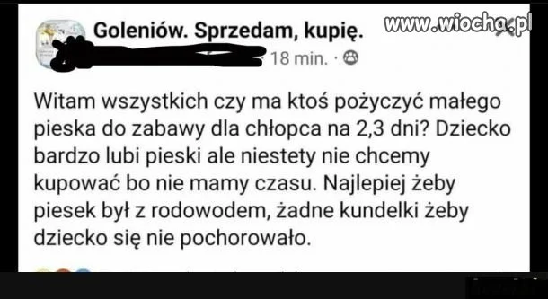 Żenada