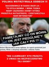 Macierewicz to vice prezes PiSu...