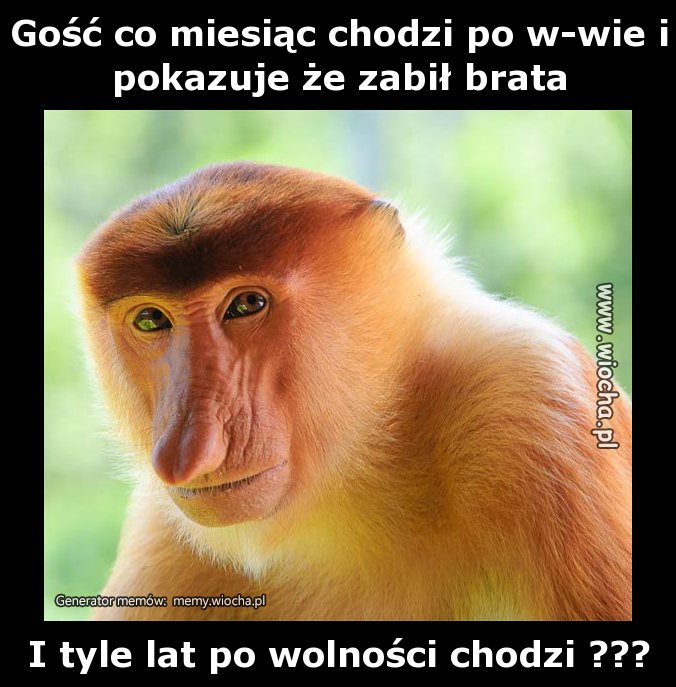 Gość co miesiąc chodzi po w-wie i pokazuje że zabił brata