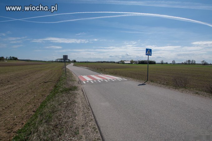 Polska w pigułce