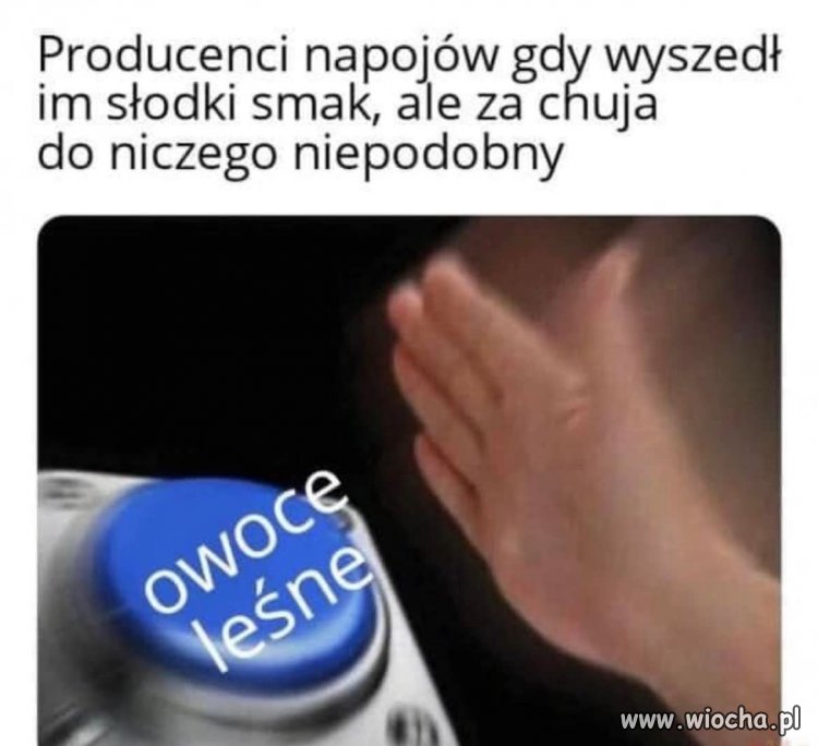 Producenci