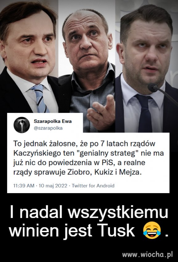 Elita elit 