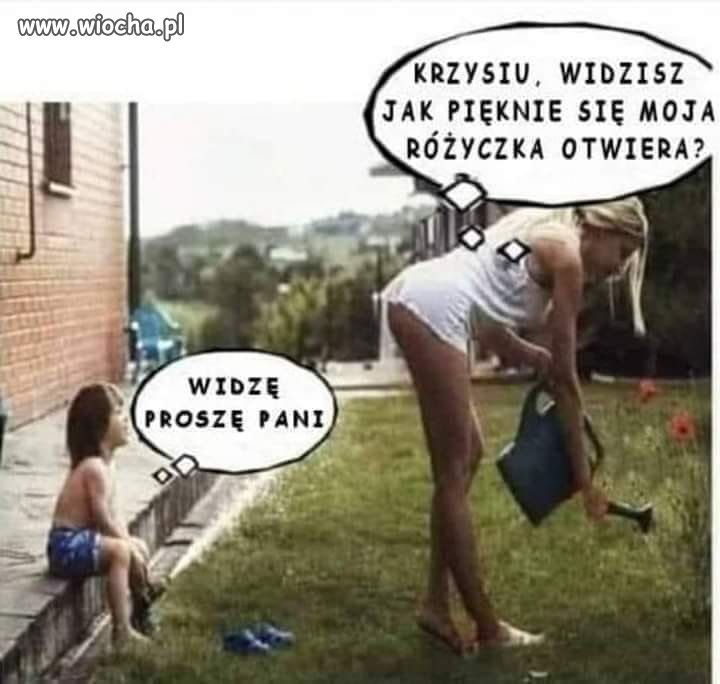 Do słońca