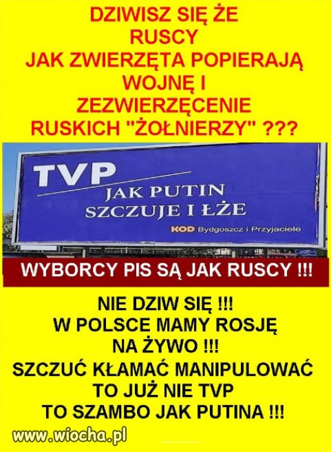 Dziwiliście się że Niemcy popierali Hitlera a Rosjanie Putina...