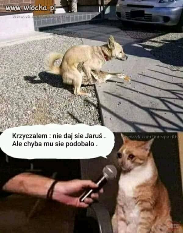 Nie miałem szans