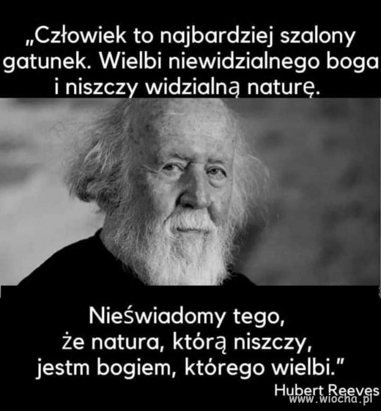 Jakie to prawdziwe 