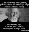 Jakie to prawdziwe 