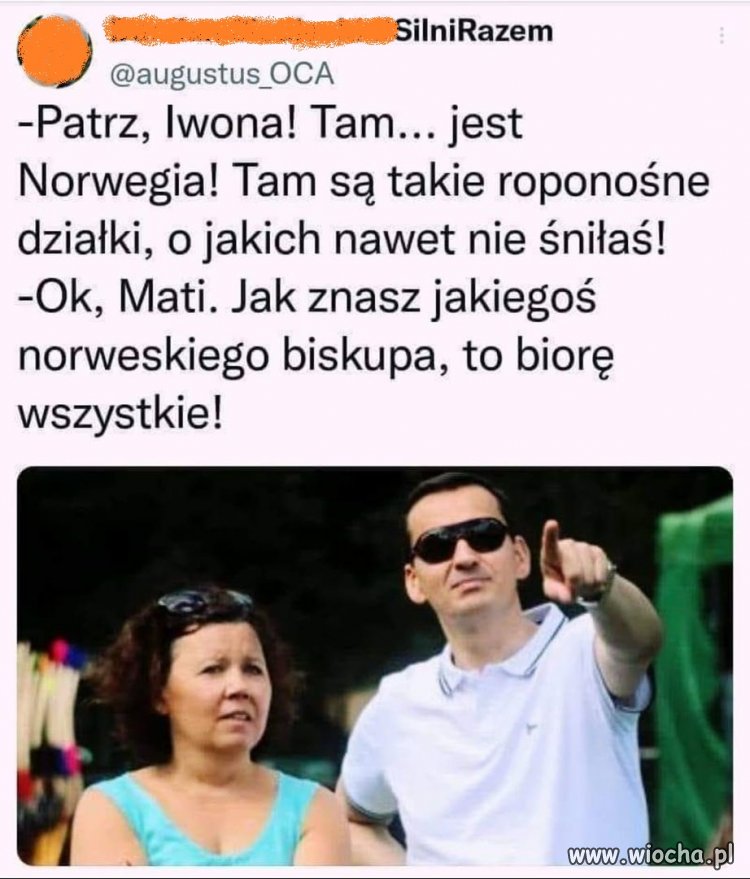 Chytry plan Matołusza