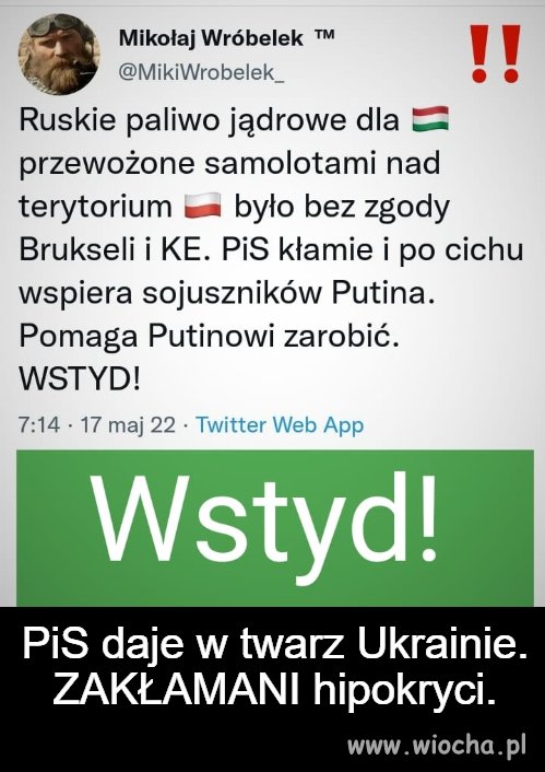Wstyd 