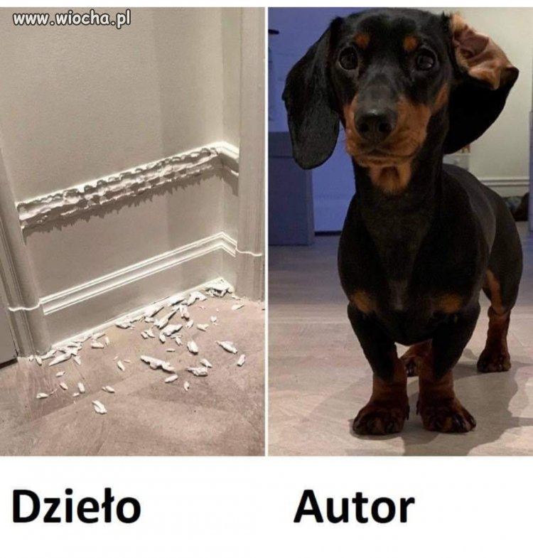 Heheszki
