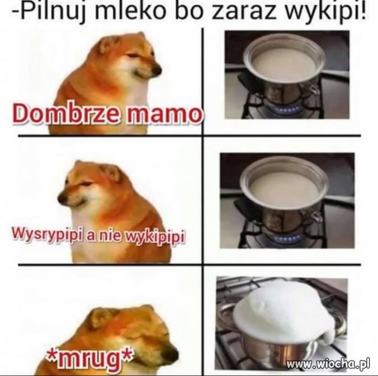 Mleko tylko czeka