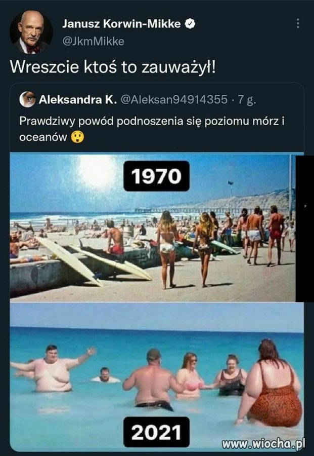 Cała praca naukowców