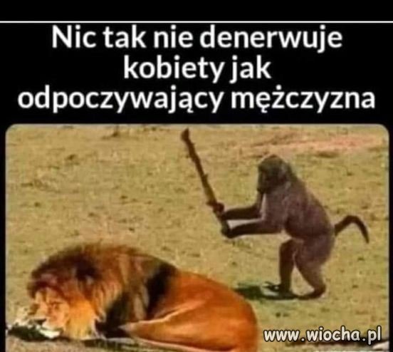 Nic tak nie denerwuje Kobiety
