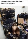 Artysta