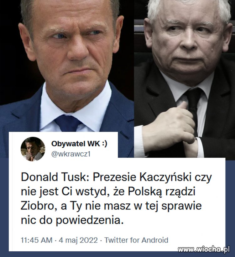 Kaczor udaje, że nie słyszy, a jak mu kolega 