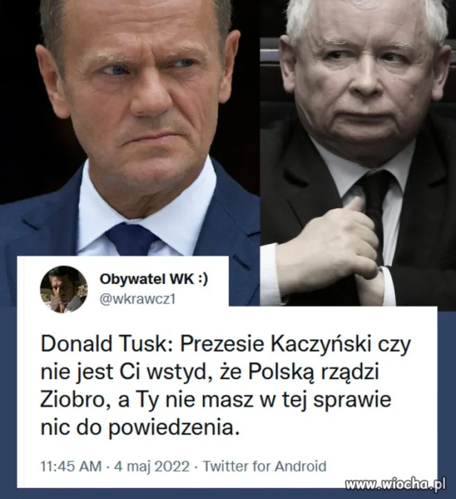 Kaczor udaje, że nie słyszy, a jak mu kolega 