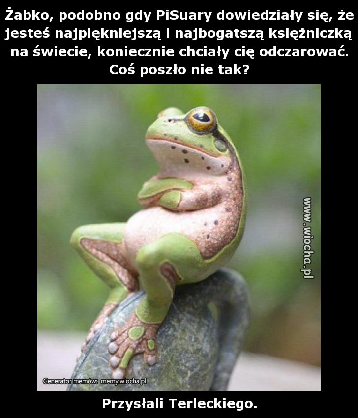 Żabko, podobno gdy PiSuary dowiedziały się, że