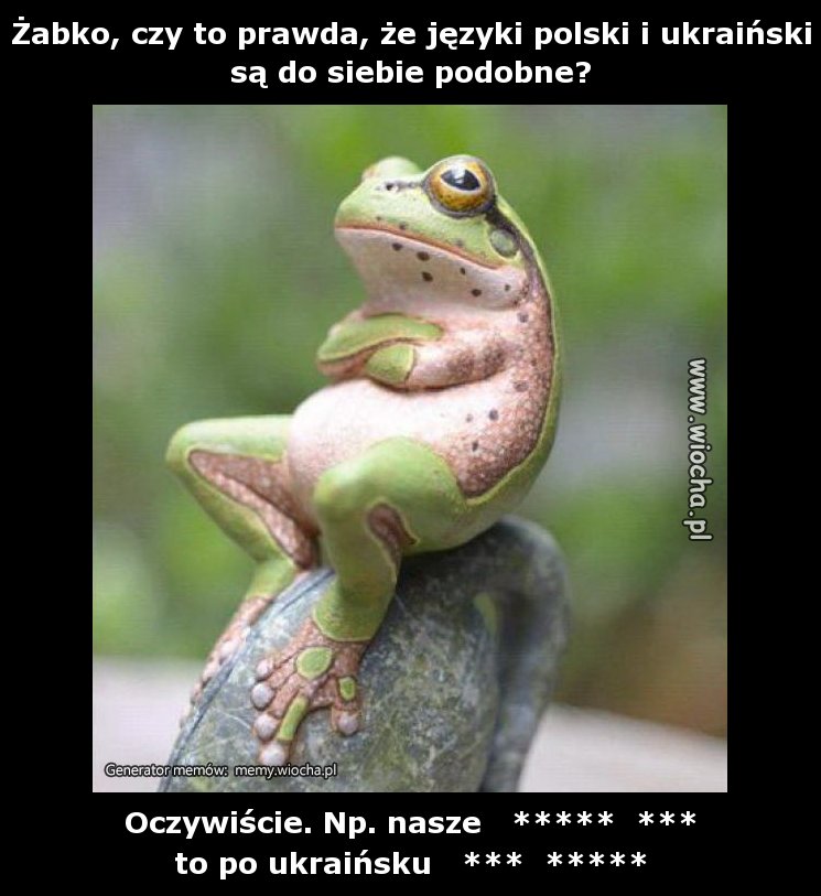 Żabko, czy to prawda, że języki polski i ukraiński